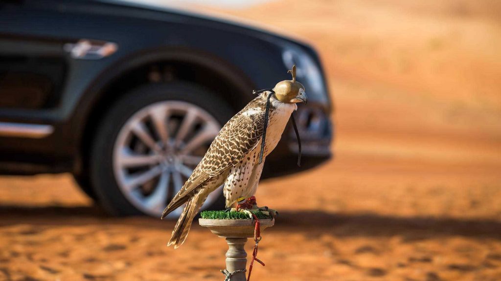 bentley-bentayga-falconry-mulliner-20
