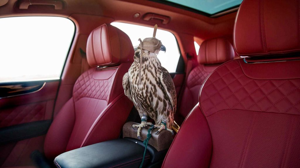 bentley-bentayga-falconry-mulliner-6