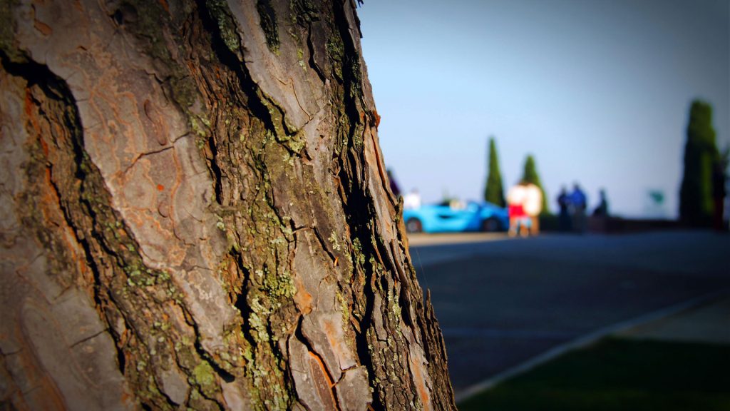 mclaren-570s-spider-presentazione-sports-series-super-series