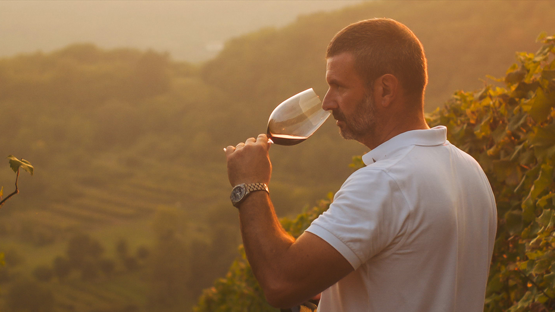 botticino-doc-azienda-vinicola-emilio-franzoni